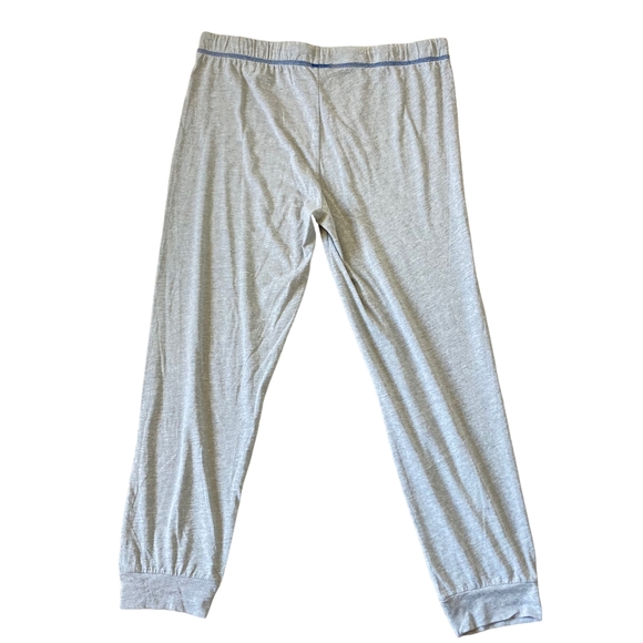 Pre-loved Grey Jersey Stretchy Pyjamas with Blue Drawstring Waist - XL Size - Picture 3 of 12